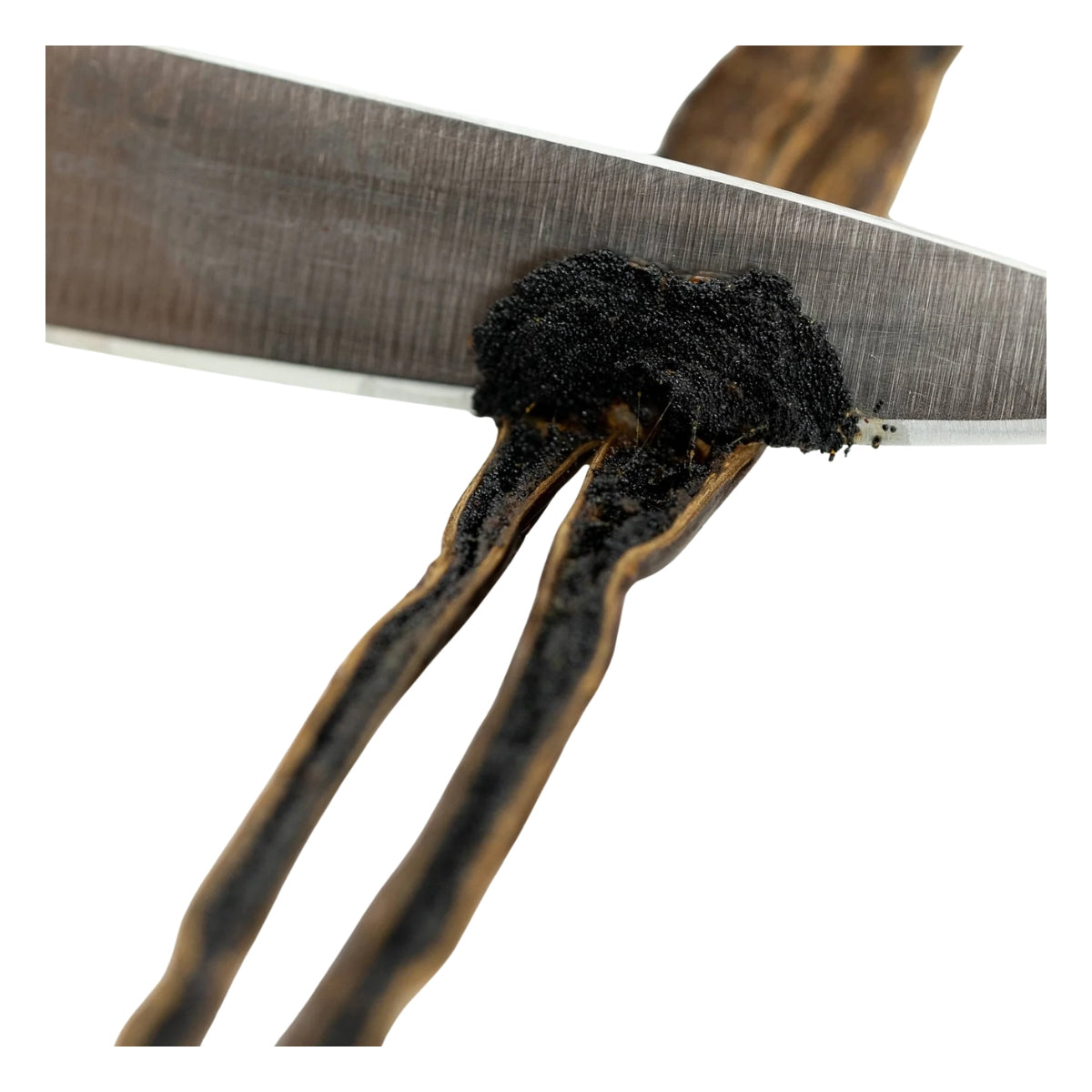 Vaniljstång PREMIUM, 5 st, Bourbon 17 - 18 cm, Madagaskar