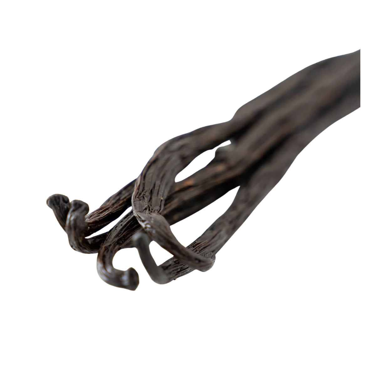 Vaniljstång PREMIUM, 5 st, Bourbon 17 - 18 cm, Madagaskar