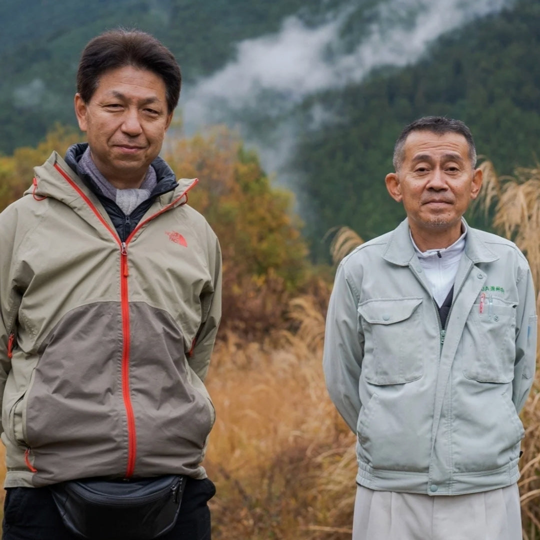 Matcha - Hattori Tea Farm - Ceremoniell - 30 g