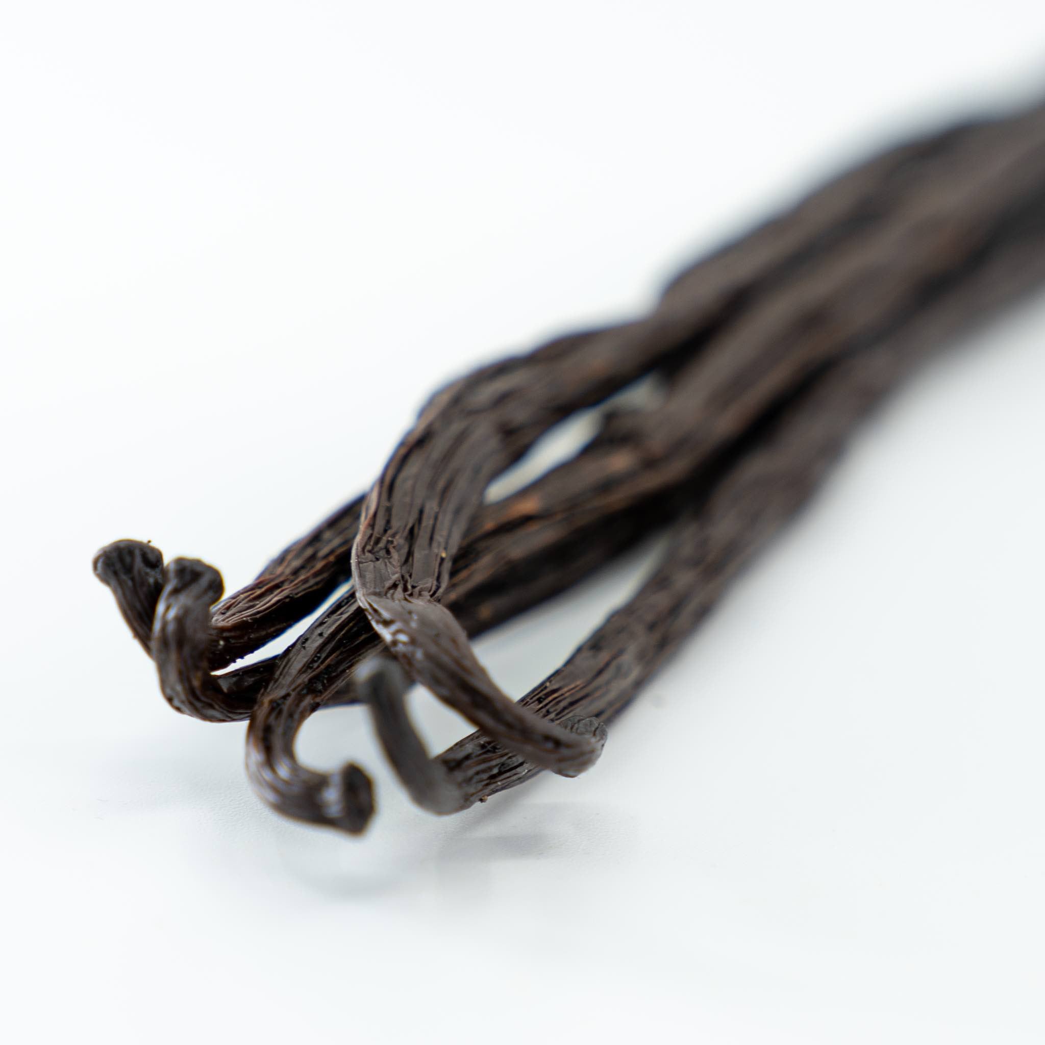 Vaniljstång PREMIUM, 5 st, Bourbon 17 - 18 cm, Madagaskar